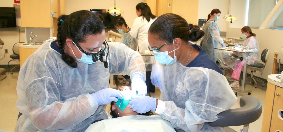 Students at Dental Hygiene Class