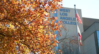fall leaves with college library in the background