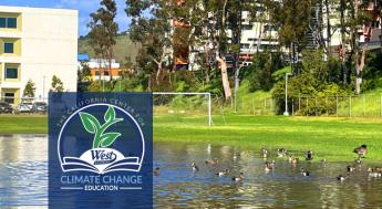 ducks on a field at West LA College