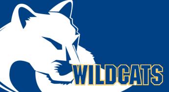 Wildcat mascot and "Wildcats"