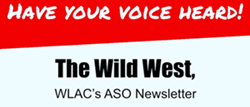 The Wild West Banner