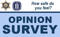Opinion Survey Banner