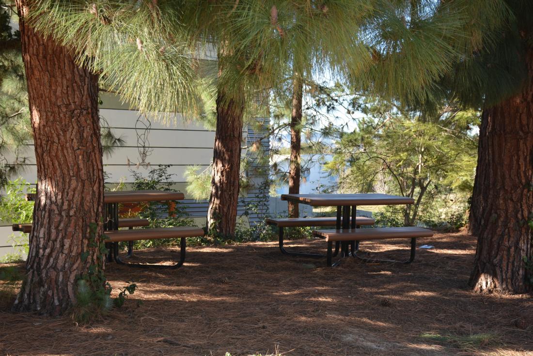 Eating Area at Wood