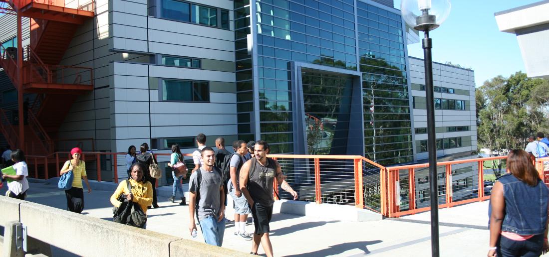 Students Walking on the Bridge