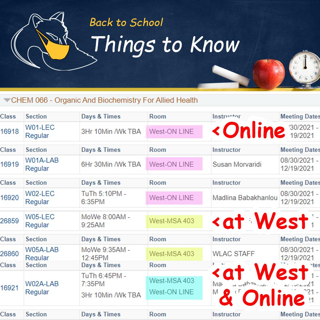 Class Schedule Table