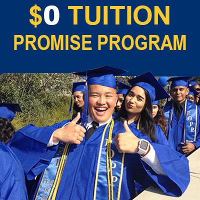 Promise Program Flyer