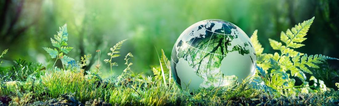 small globe surrounded by leaves