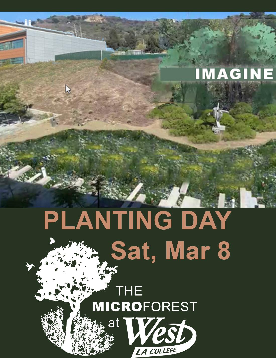 artist rendering of a campus microforest
